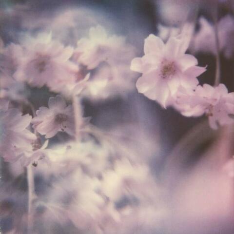 Memories of You
