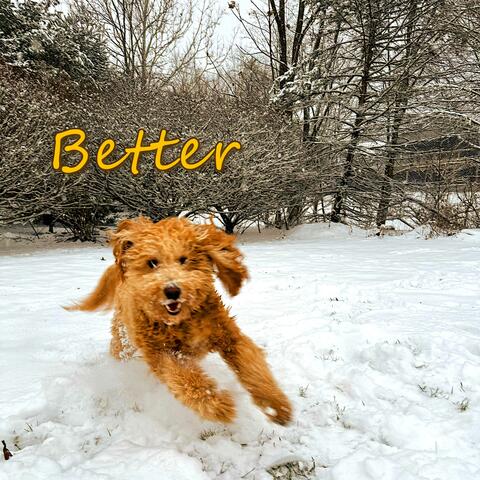 Better
