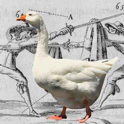Sword Goose