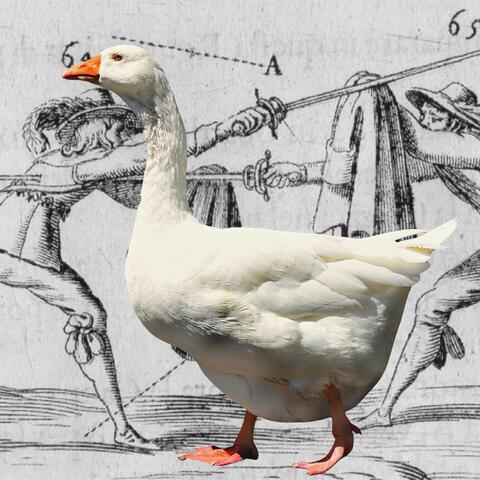 Sword Goose