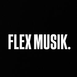 FLEX MUSIK