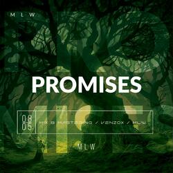 Promises (feat. MLW)