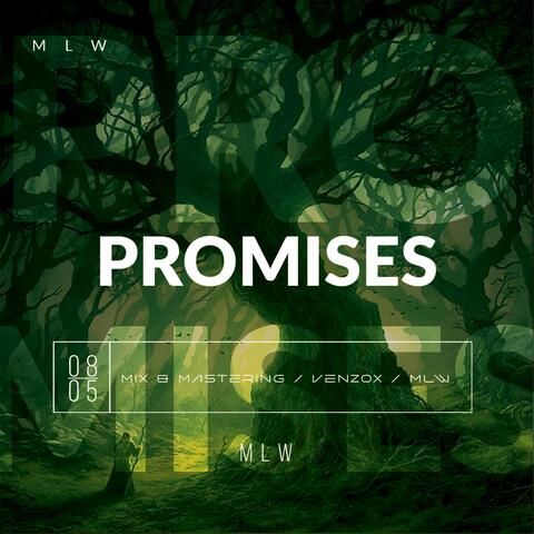 Promises (feat. MLW)
