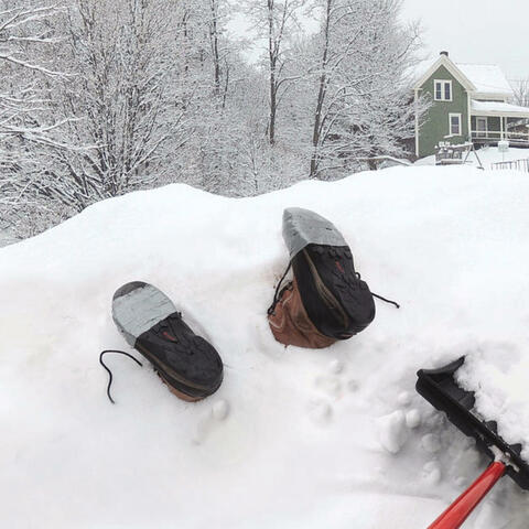 Snowed In