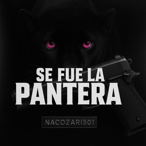 Se fue la Pantera (Corrido Prohibido)