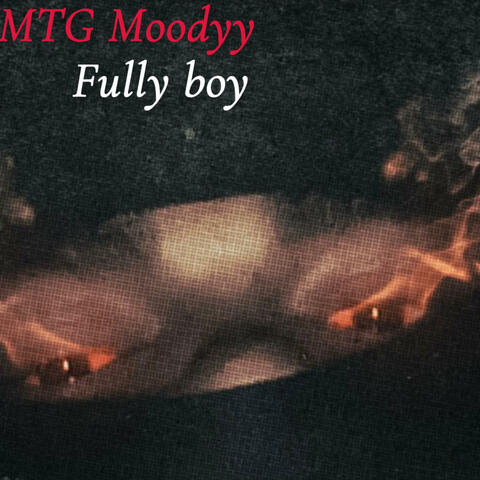 Fully Boy (feat. Mtg antne & Lil ron)