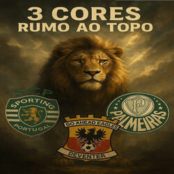 3 Cores Rumo Ao Topo