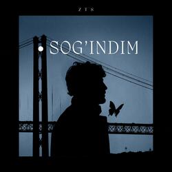 Sogindim