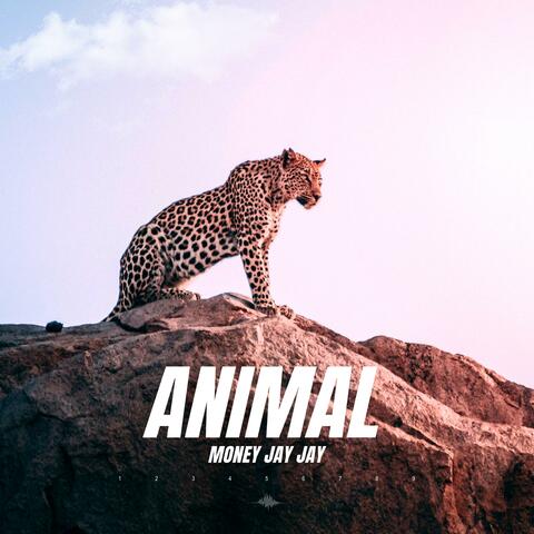 ANIMAL