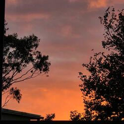 stillness, almost