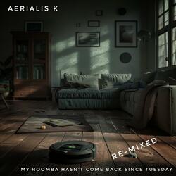 My Roomba Hasn't Come Back Since Tuesday (Re-mixed)