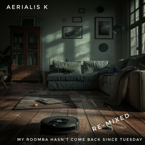 My Roomba Hasn't Come Back Since Tuesday (Re-mixed)