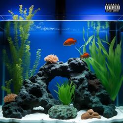 ACQUARIO (feat. ICE Flex)