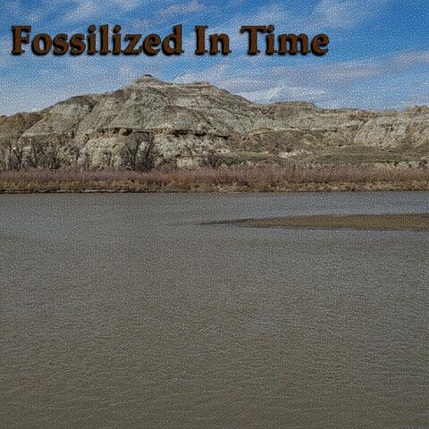 Fossilized In Time