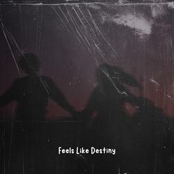 Feels Like Destiny