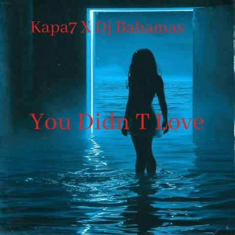You Dind T Love (feat. Dj Bahamas)