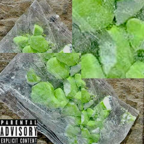 FAKE bands$$ (feat. L I S T E N A B L E)