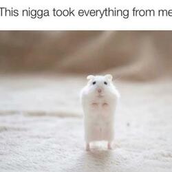 never existed