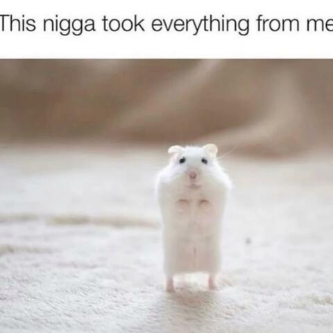 never existed