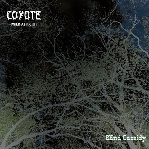 Coyote (Wild at Night)