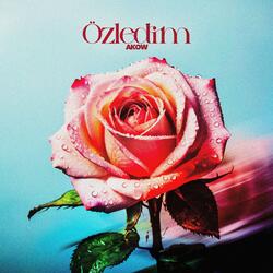 Özledim
