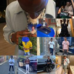 Adolph (Young Dolphin)