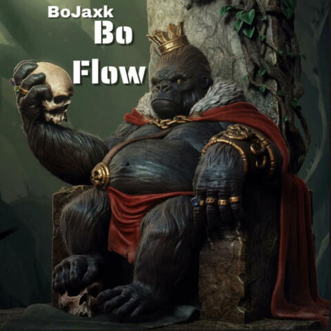 Bo Flow