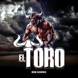 EL TORO DE TAMAULIPAS