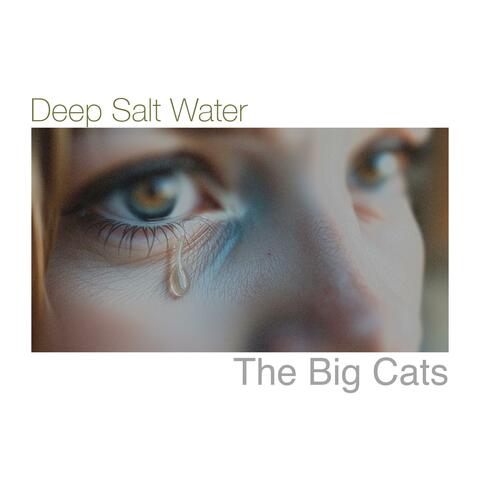 Deep Salt Water