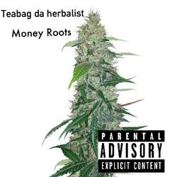 Money Roots