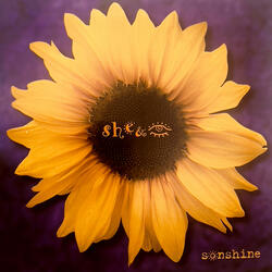 If Rocks Could Speak