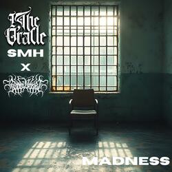 Madness (feat. Bobbi Vanet) (Remix)