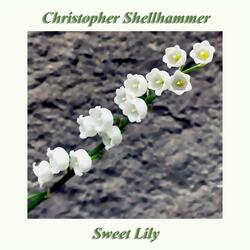 Sweet Lily