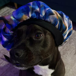 Nala Ready Fi Bed"(Reggae Bedtime Vibes)