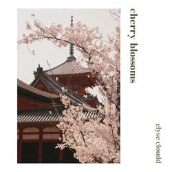 Cherry Blossoms
