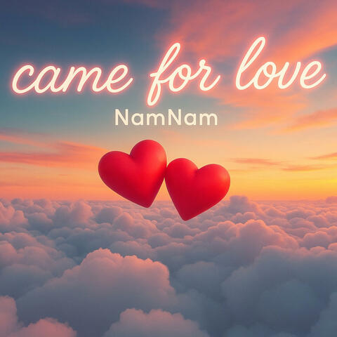 Came For Love