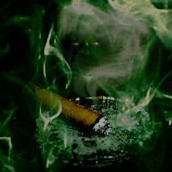 Eternal Reefer-ection