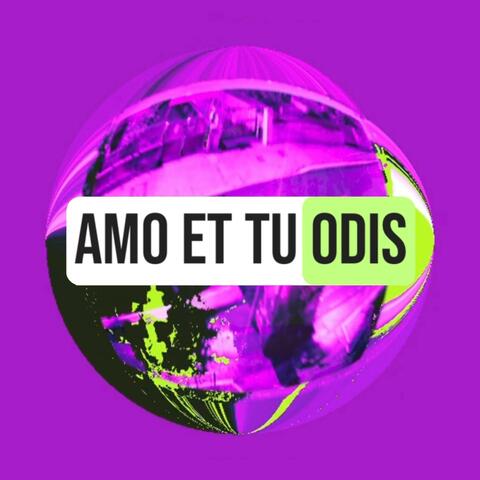 Amo et tu odis