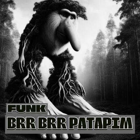 BRR BRR PATAPIM FUNK