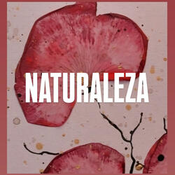 Naturaleza (Demo Version)