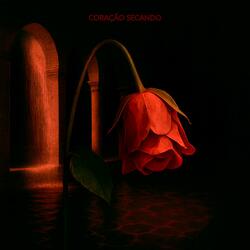 CORAÇÃO SECANDO (Super Slowed)