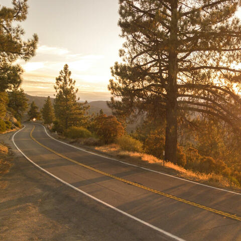 Roadside Reflections