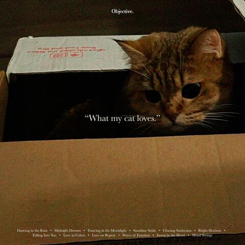 What my cat loves.