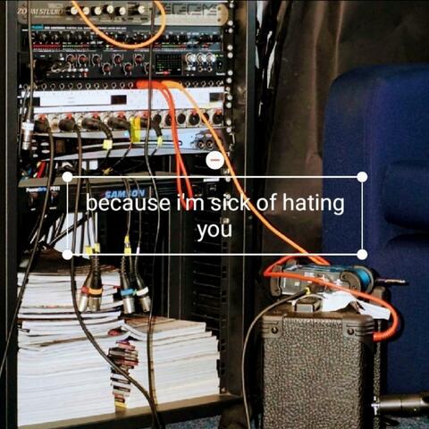 because i'm sick of hating you