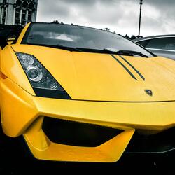 MAGA Guy (I Never Left)