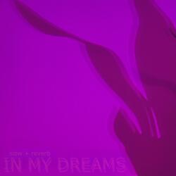 In My Dreams (Slowed + Reverb)