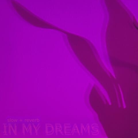 In My Dreams (Slowed + Reverb)