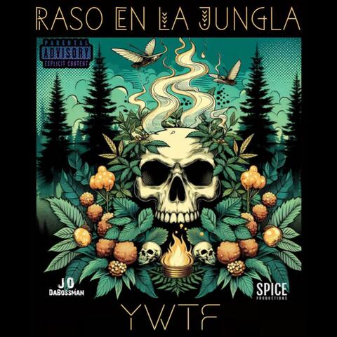 YWTF