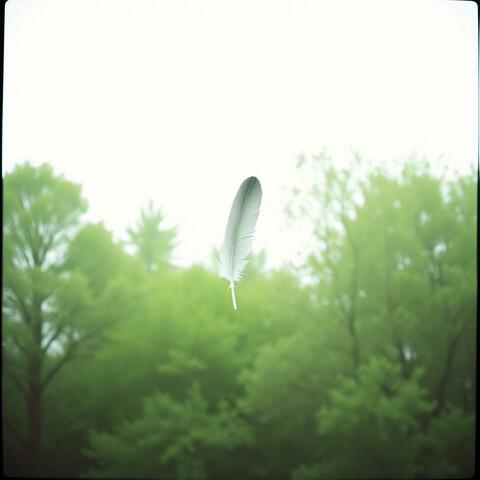 Whispers of the Wind