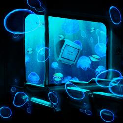 Forget Me Not